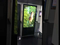 Gözlüksüz dijital tabela